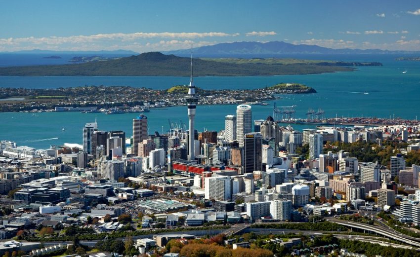  3 New Zealand Business Opportunities